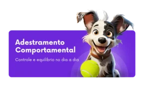 Adestramento comportamental, adestramento comportamental para cães