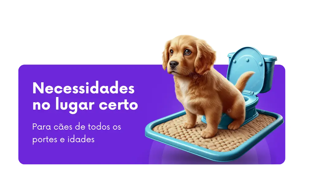 Consultoria de comportamento canino para ensinar cachorro a fazer xixi e cocô no lugar certo com Ricardo Tamborini