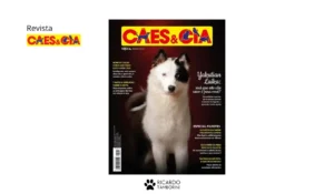 adestramento de filhotes