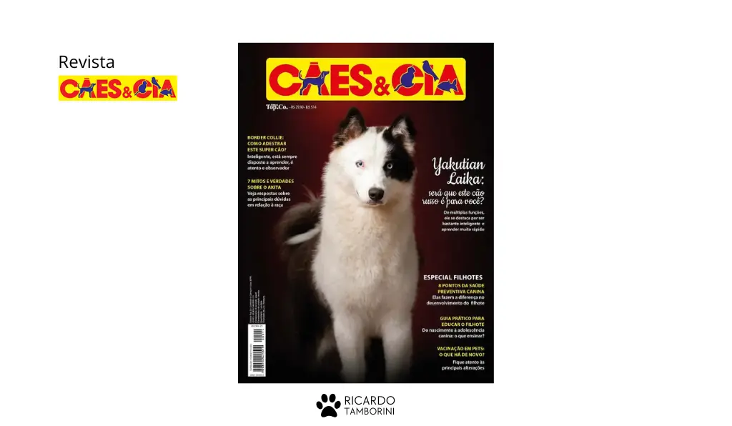 adestramento de filhotes