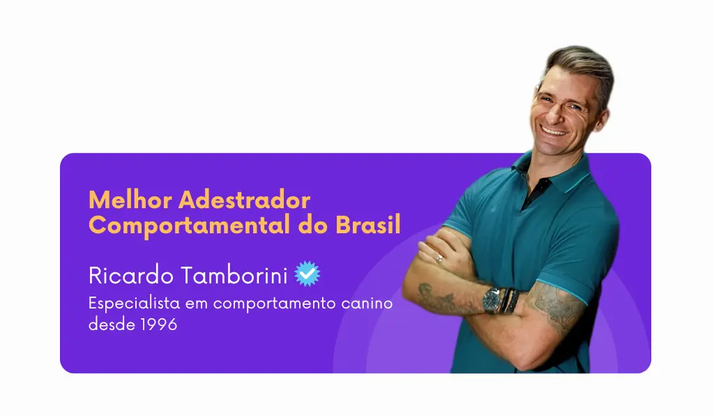Ricardo Tamborini, melhor adestrador comportamental do Brasil