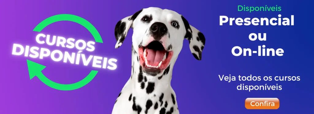 dicas para iniciar carreira como adestrador de cães, ricardo tamborini,