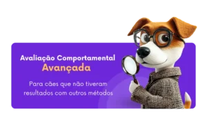 problemas de comportamento em cães
