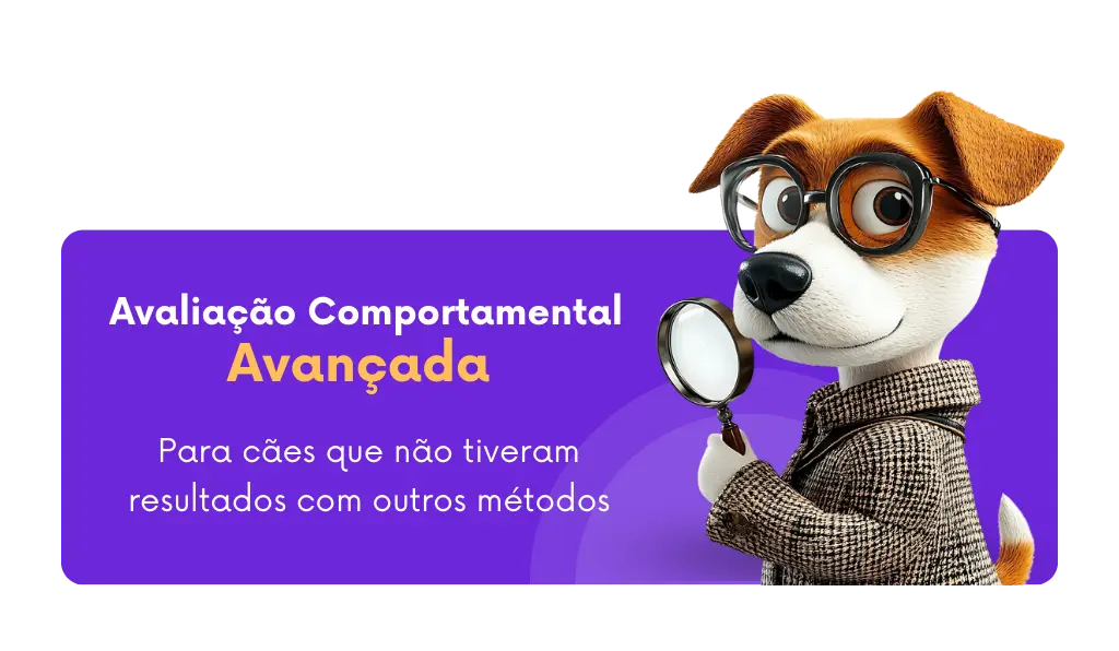 problemas de comportamento em cães