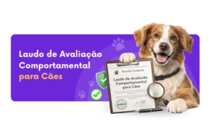 laudo para cachorro