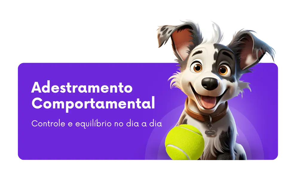 Adestramento comportamental para cães com Ricardo Tamborini