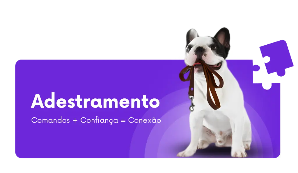 Adestramento de cães com Ricardo Tamborini