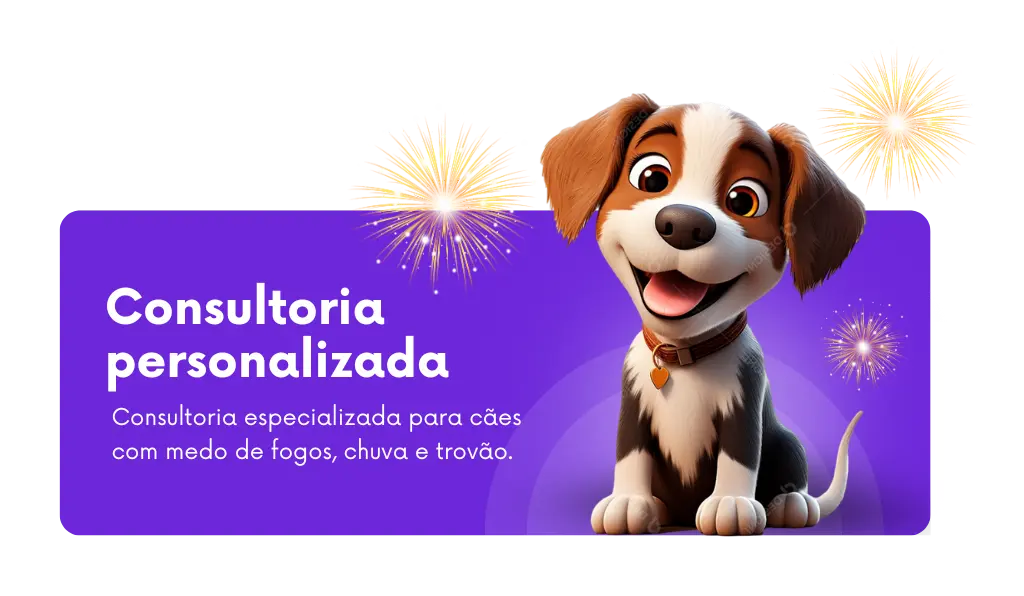 Consultoria para cães com medo de fogos, chuva e trovões