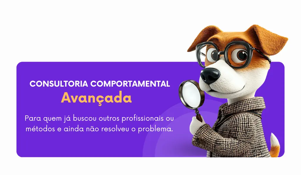 Consultoria Comportamental Avançada para Cães com Ricardo Tamborini