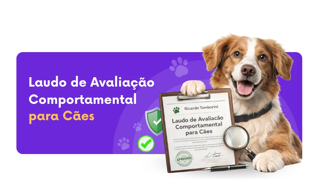 Laudo comportamental para cachorro com Ricardo Tamborini