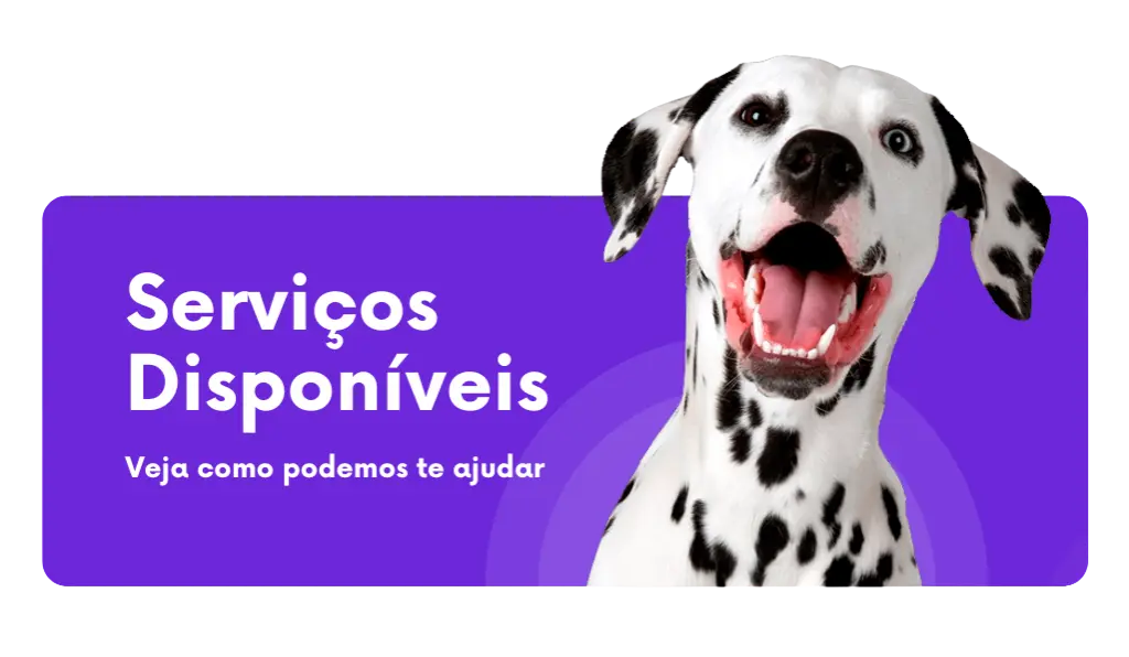 Serviços de adestramento e comportamento canino com Ricardo Tamborini