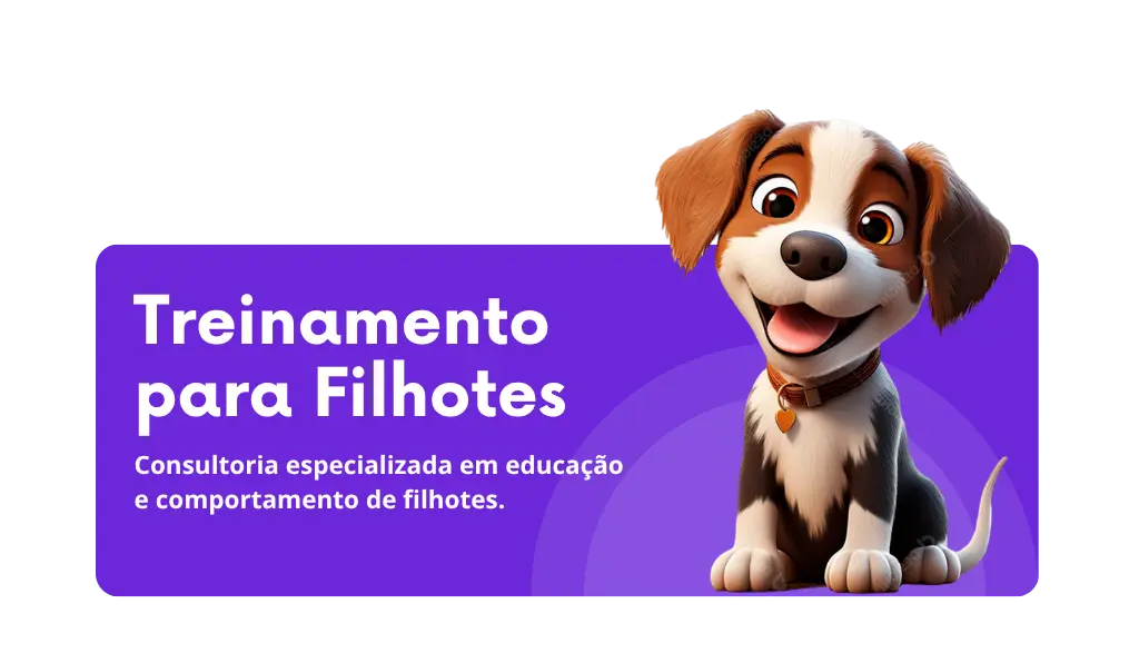 Treinamento para filhotes com Ricardo Tamborini