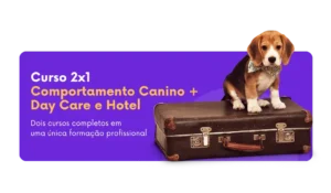 Curso completo de comportamento canino, Day Care e Hotel com Ricardo Tamborini