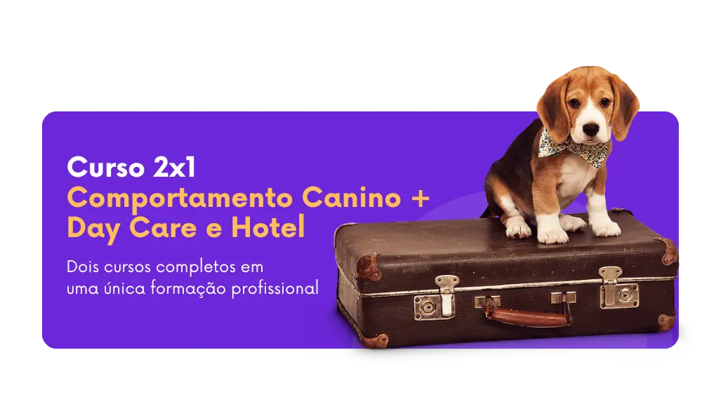 Curso completo de comportamento canino, Day Care e Hotel com Ricardo Tamborini
