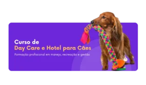 Curso de Day Care e Hotel para cães com Ricardo Tamborini