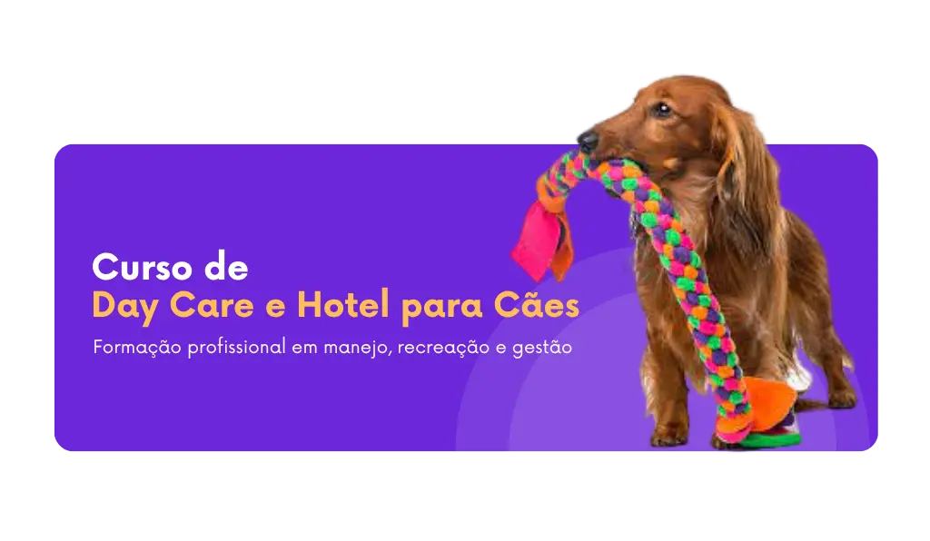 Curso de Day Care e Hotel para cães com Ricardo Tamborini