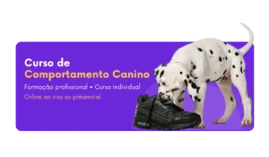 Curso de comportamento canino com Ricardo Tamborini