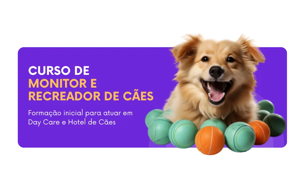 Curso de Monitor e Recreador de Cães com Ricardo Tamborini